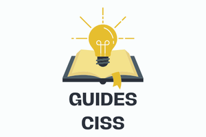 GUIDES CISS.png